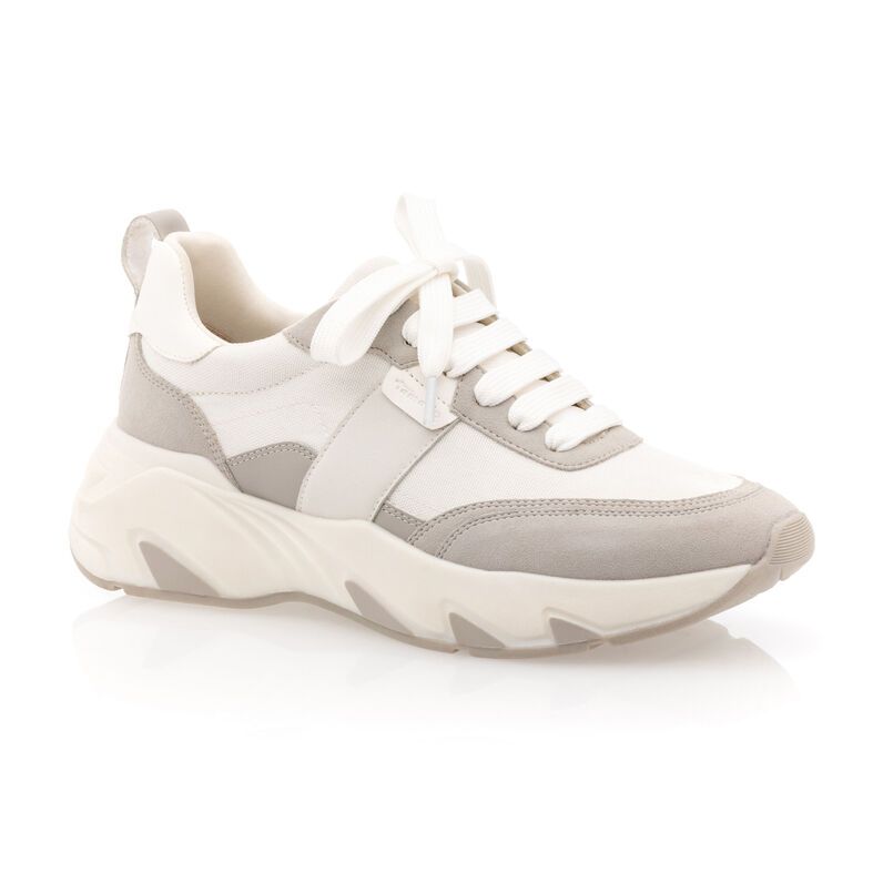 Baskets / sneakers Femme Gris