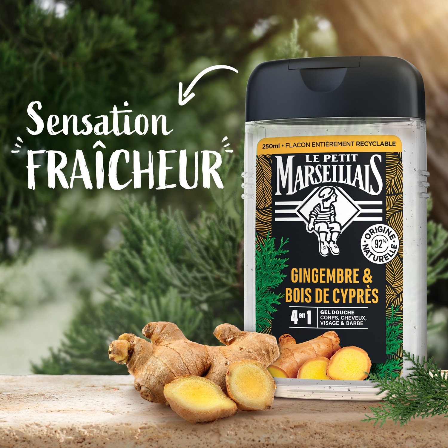 Le Petit Marseillais DOUCHE HOMME GINGEMBRE & BOIS DE CYPRES