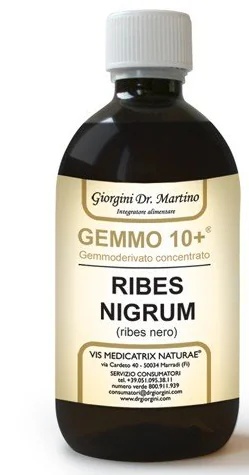 DR. GIORGINI Dr. Giorgini Gemmo 10+ Zwarte bes alcoholvrije vloeistof 500 ml Geschikt voor veganisten