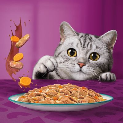 Whiskas 1+ Νόστιμο Μείγμα Ψαριών Ημέρας σε Σάλτσα
