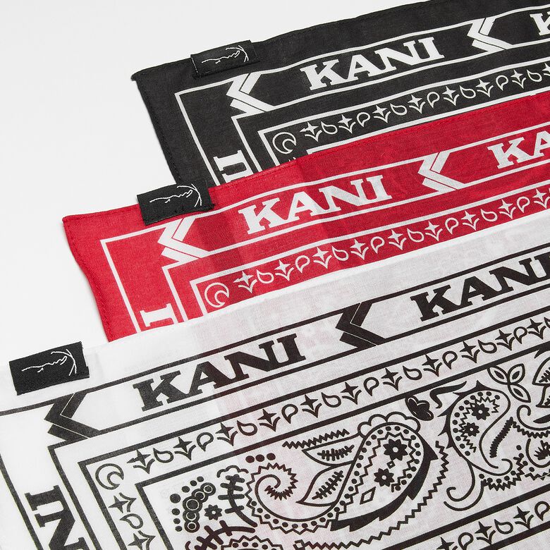Pañuelos con estampado paisley exclusivos (paquete de 3)