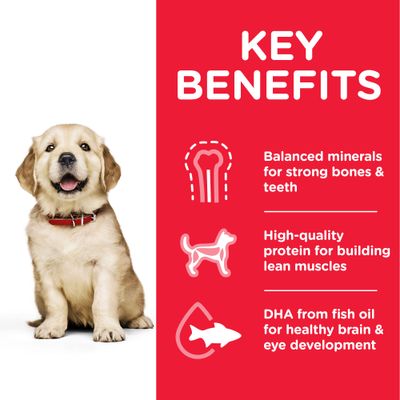 Cachorro Hill's Science Plan <1 Raza grande con pollo