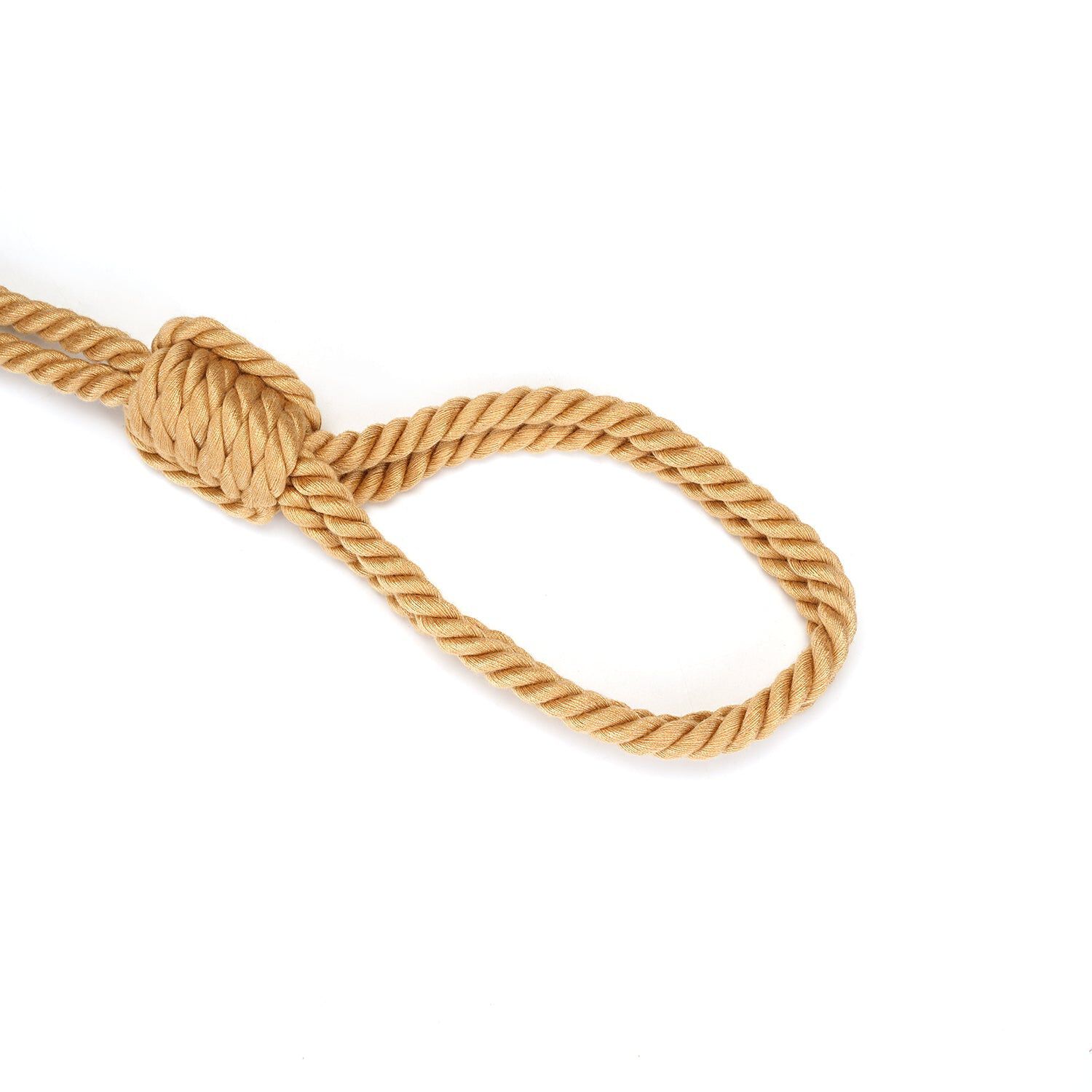 Liebe Seele Bound You II: Shibari Bondage Rope Collar & Leash