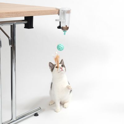 TIAKI Intelligence Toy Snack Hunter