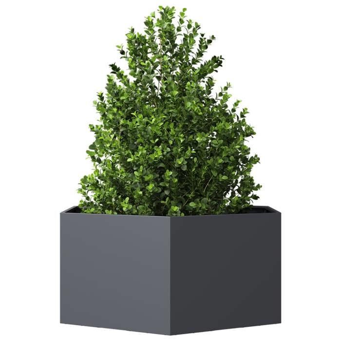 vidaXL Maceta hexagonal antracita de acero de 104x90x45 cm, maceta para flores, maceta para patio, maceta para jardín, 851131