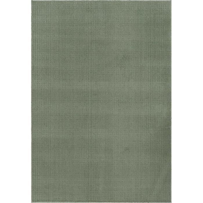 Tapis Moelleux - THE CARPET - Relax - Antidérapant - Lavable - Vert 140x200 cm