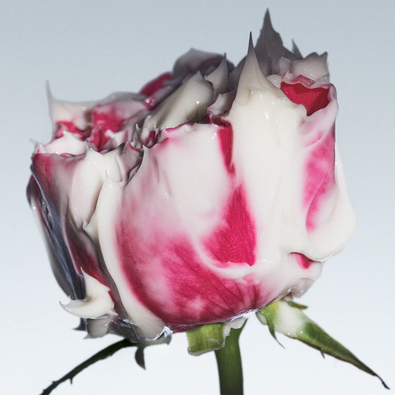 Creme facial hidratante Fresh Rose Deep Hydration com ácido hialurônico.