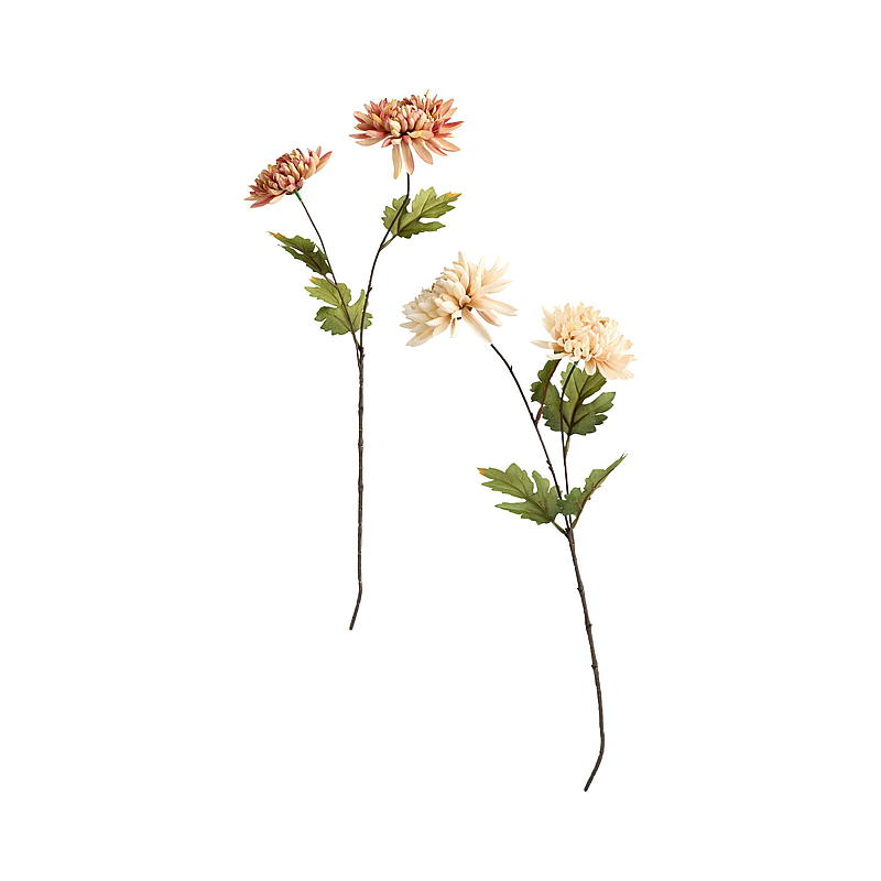 Etusivu Krysanteemi 56 cm duo