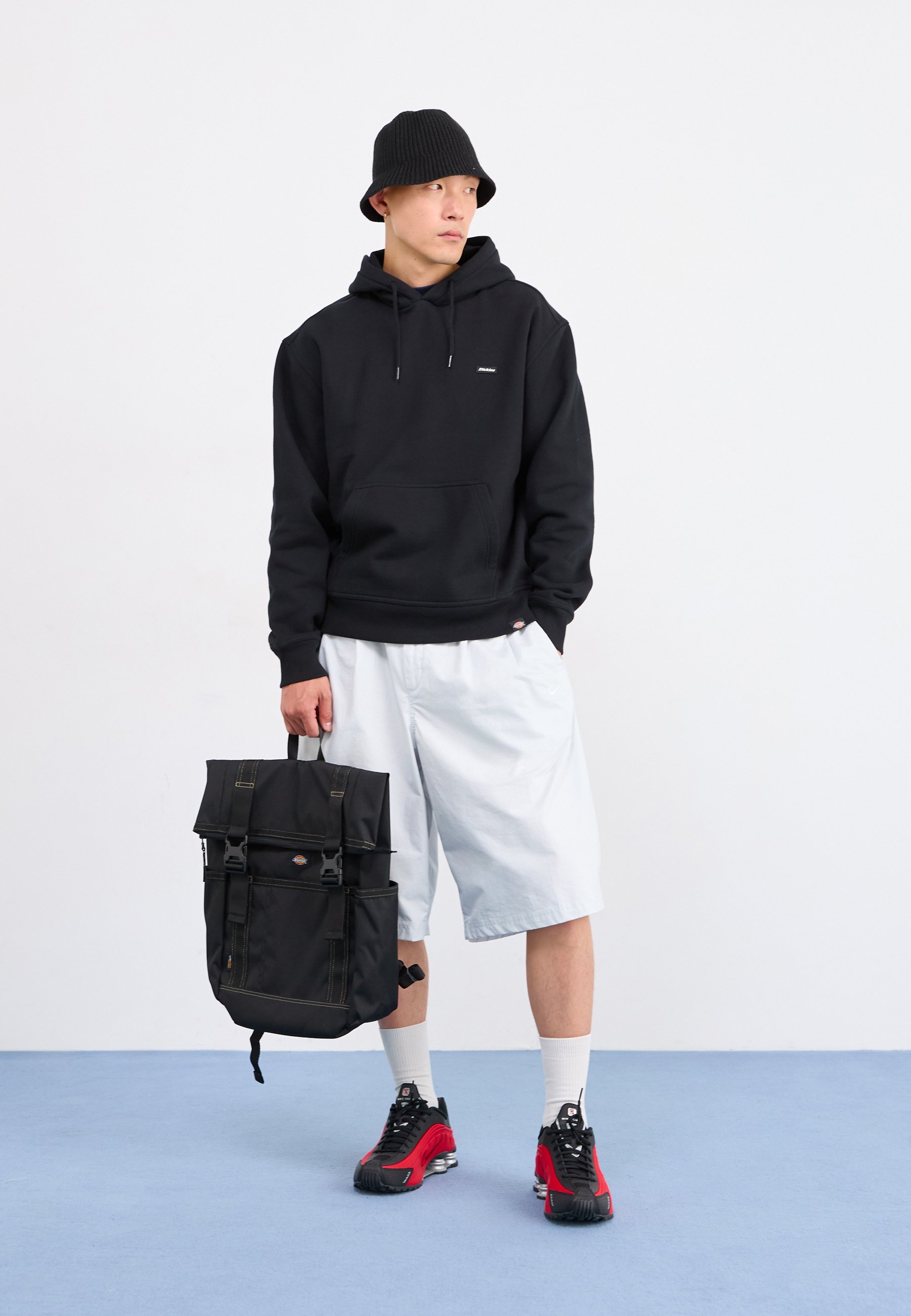 Dickies Hoodies