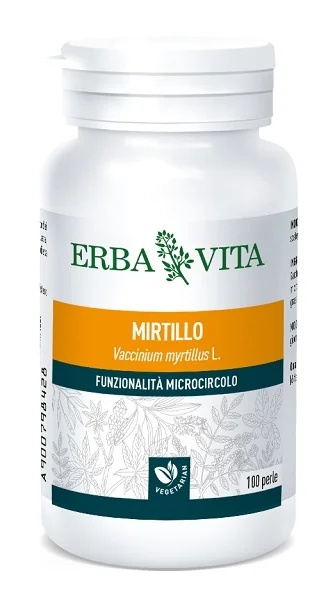 ERBA VITA Borovnica 100g