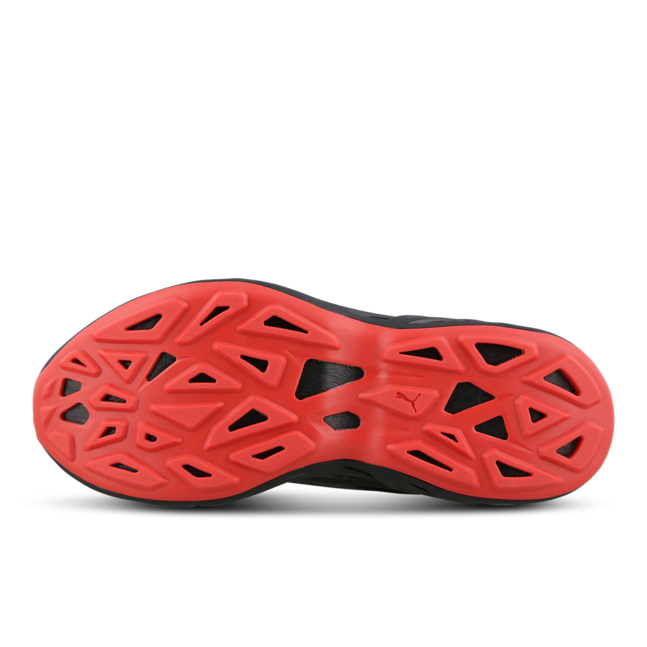 Puma Exotek