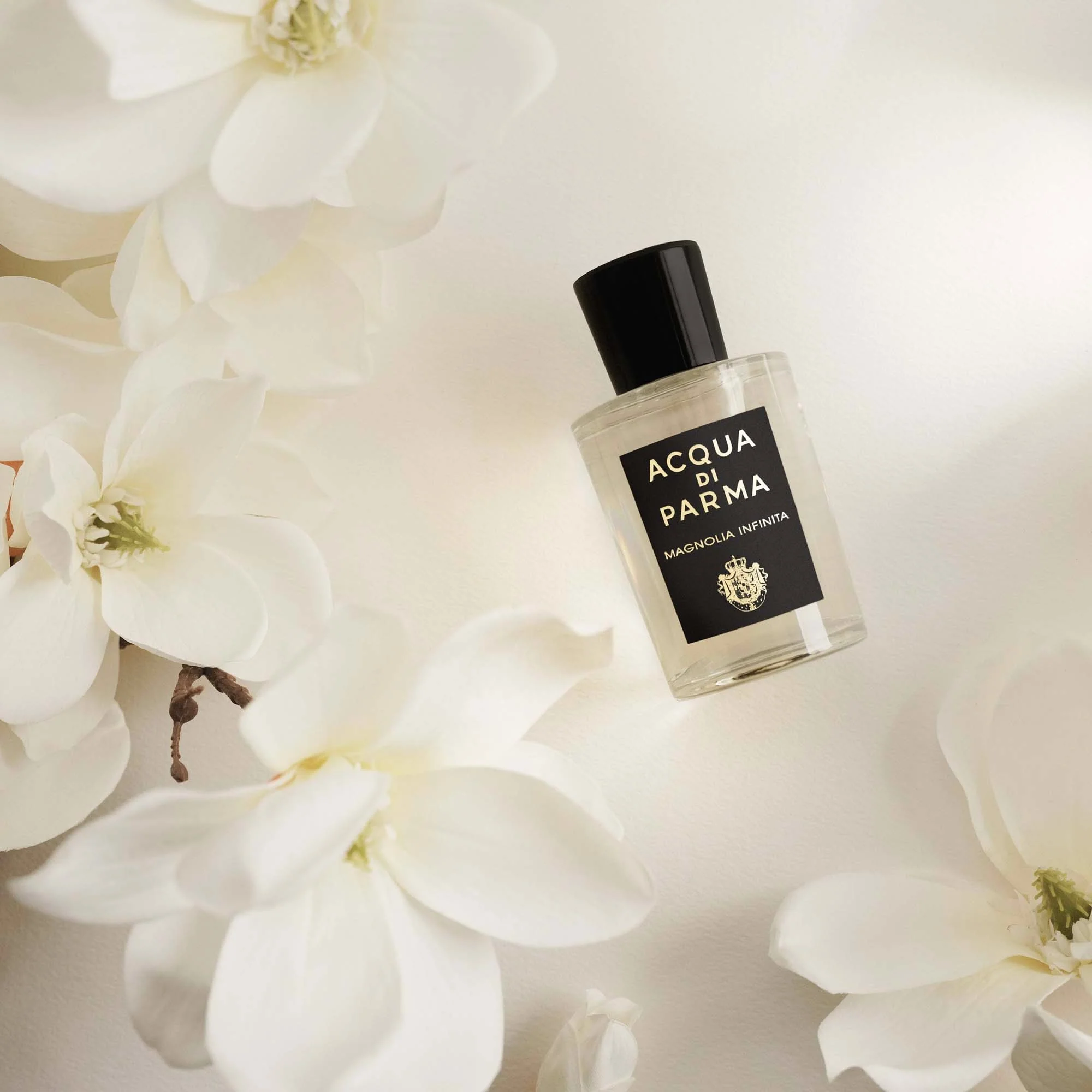 Signatures of the Sun Magnolia Infinita - Eau de Parfum Unisex, Eau de Parfum