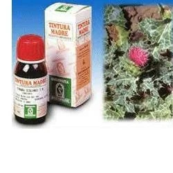 SPECCHIASOL Mariadistel 6 5 ml Tm