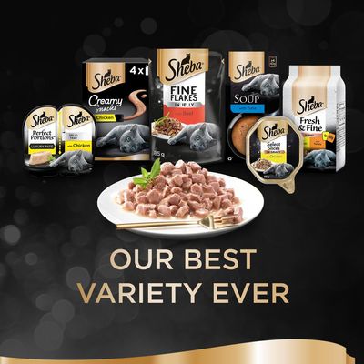 Δίσκοι για τους λάτρεις της σάλτσας Sheba