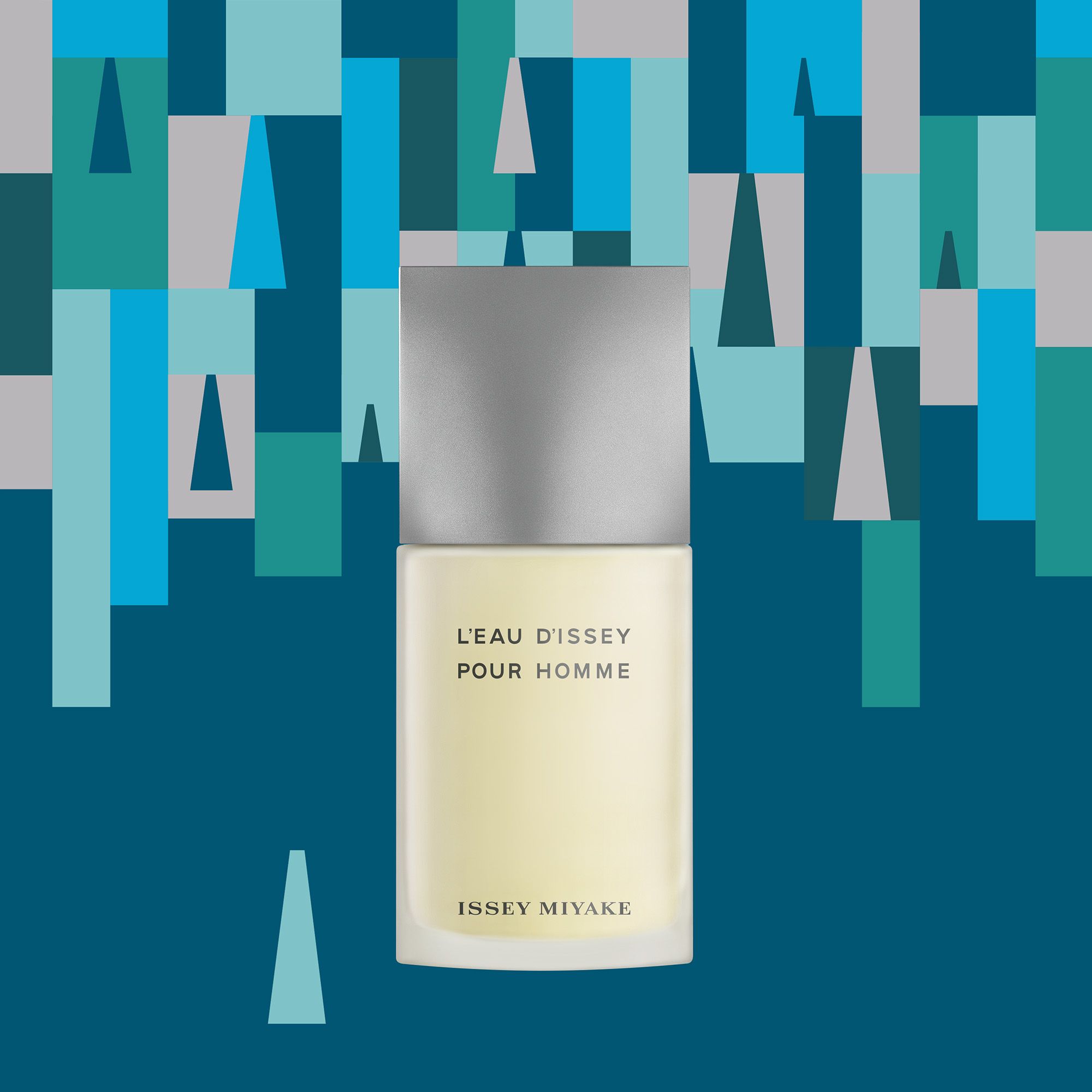 L'Eau d'Issey pour Homme Case Škatlice za moške parfume