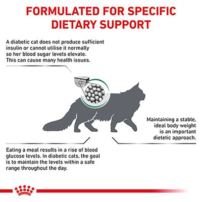 Royal Canin Veterinary Cat - Diabetic DS 46
