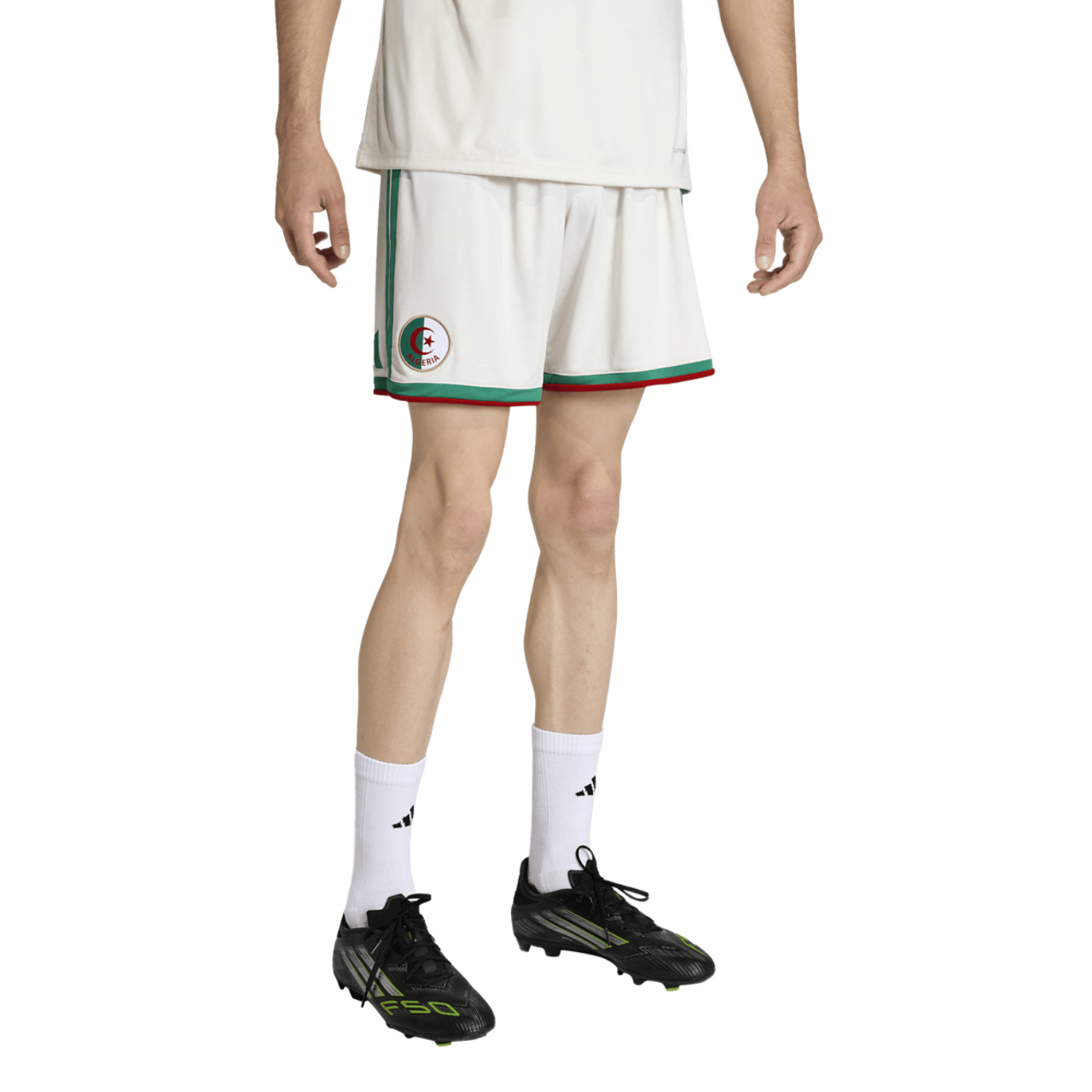 adidas Algeriet 26 Hjemme Replica Shorts