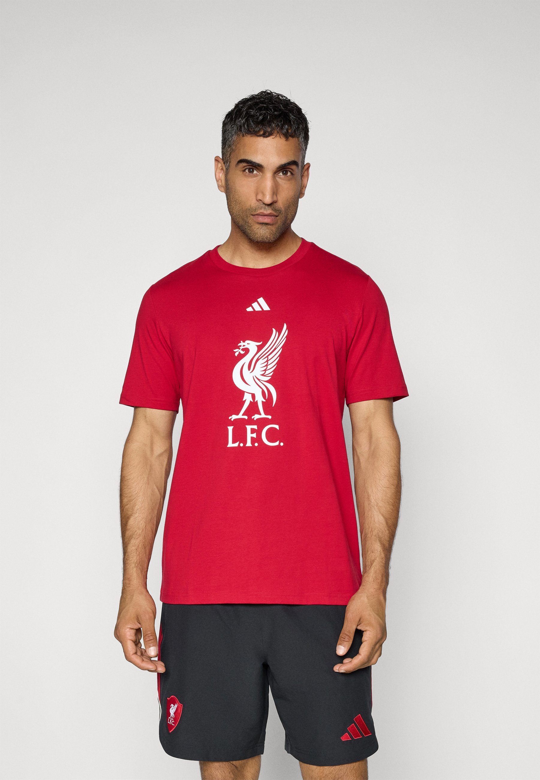adidas Performance LIVERPOOL FC DNA GRAPHIC T-SHIRT - Clubkleding - aardbeirood