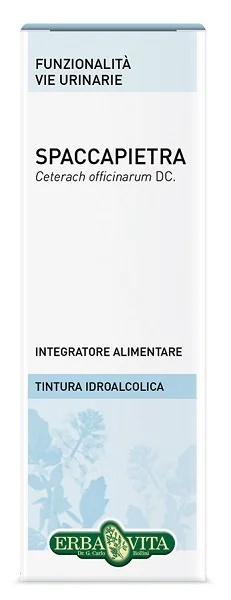 ERBA VITA Steenverwijderaar hydroalcoholische tinctuur 50 ml Ebv