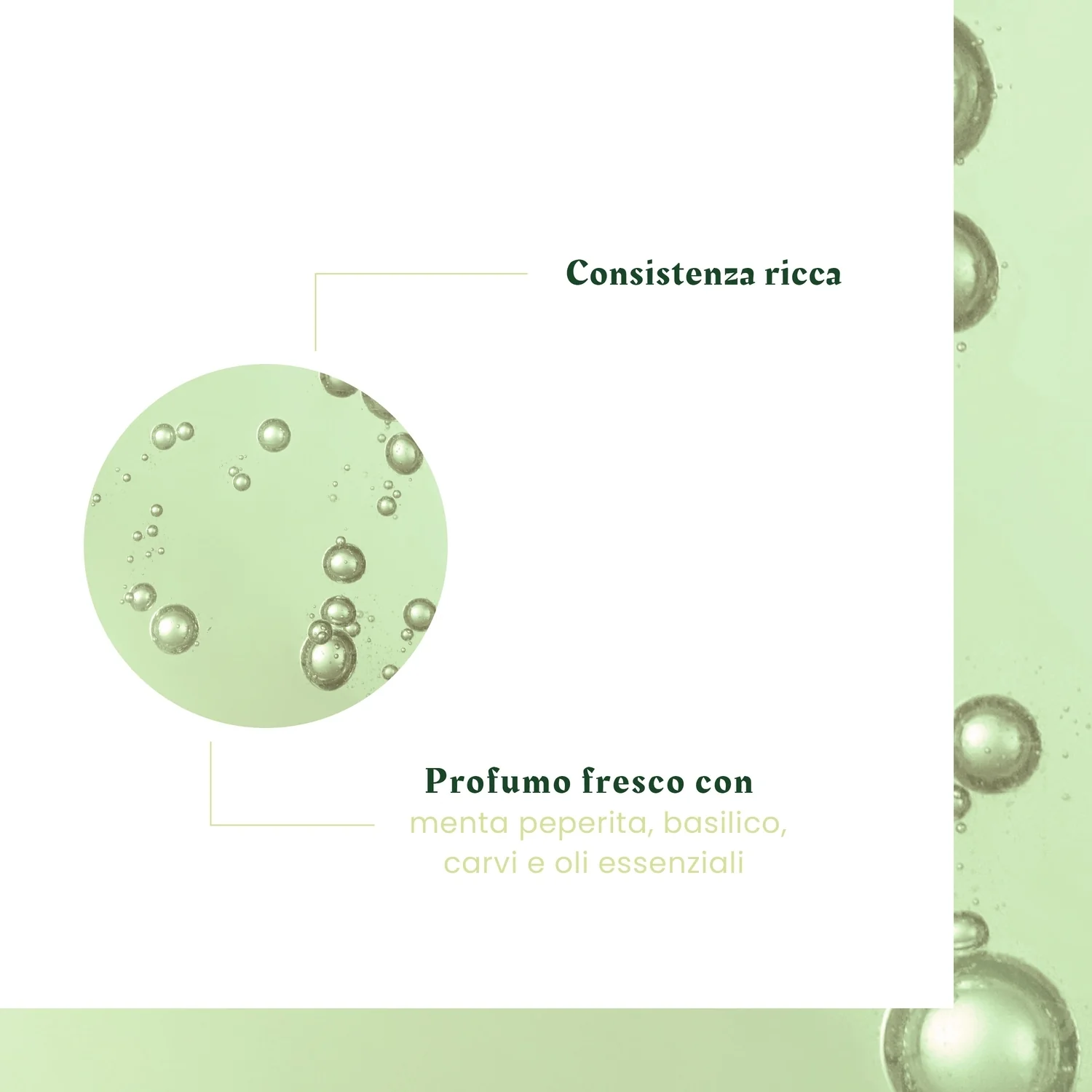 Naturia Shampooing Micellaire Douceur - Shampoo Delicato, Shampoo Uso Frequente