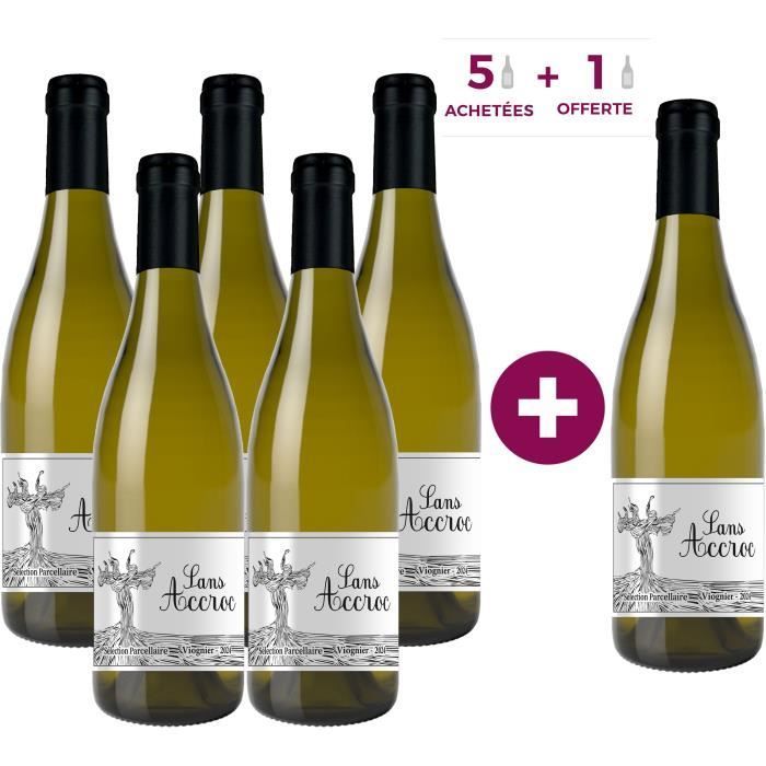Sans Accroc 2024 Vin de la Vallée du Rhône Viognier - Vin Blanc x6