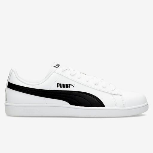Puma Sus