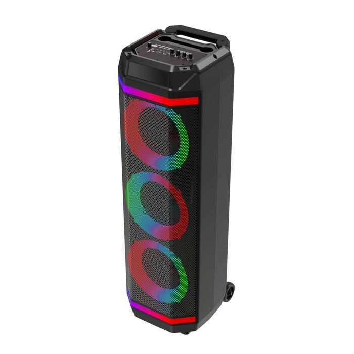 Enceinte Bluetooth BSL-S61 50 W, microphone intégré, radio FM/USB MP3, fonction karaoké USB-C