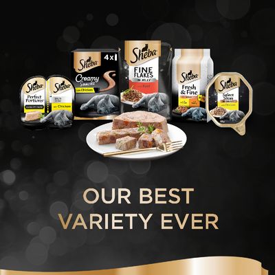 Sheba Classics Terrine Schalen