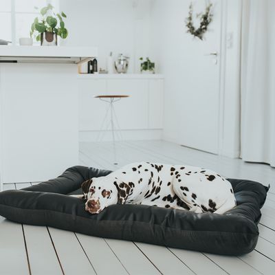 HUNTER Bologna Hundebett - Schwarz
