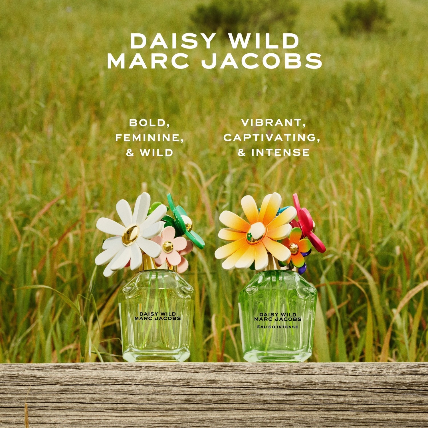 Marc Jacobs Eau de Parfum Daisy Wild Eau So Intense - 30 ml