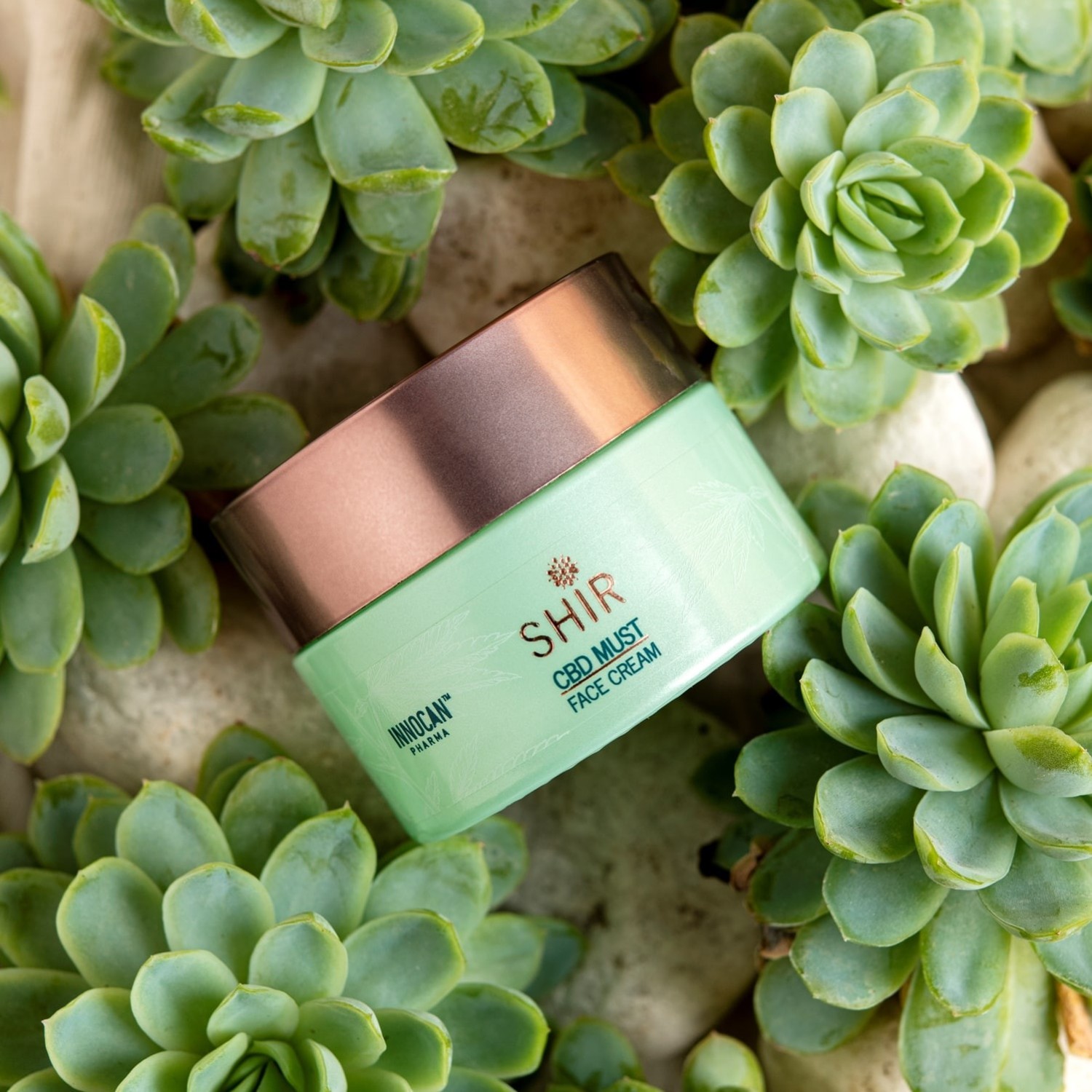 SHIR BEAUTY Crème visage concentrée en CBD
