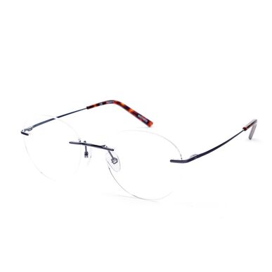 Montura de gafas azul titanio puro 01 Titanio puro