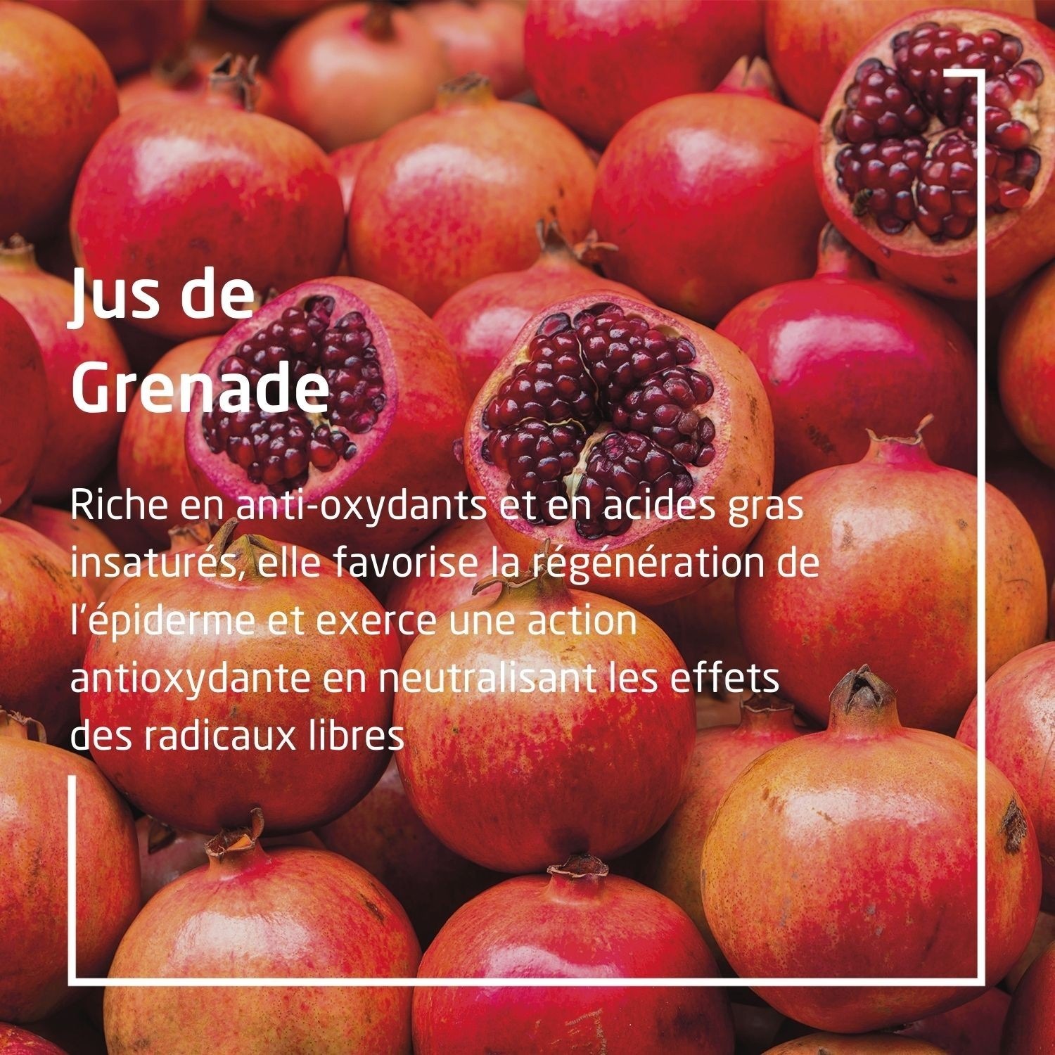 Weleda Déodorant roll-on 24H Grenade - 50 ml