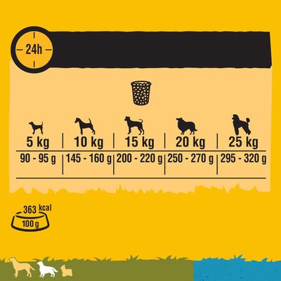 Pedigree Adult Complete z wołowiną i warzywami