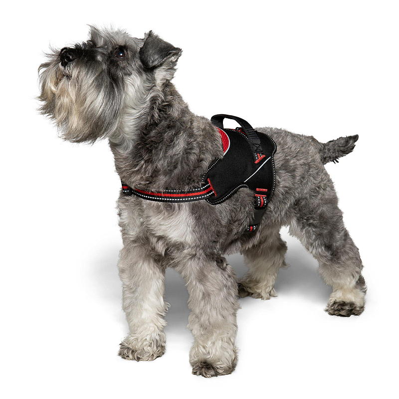Arnés para perros Zoozaker de 45 cm con asa.