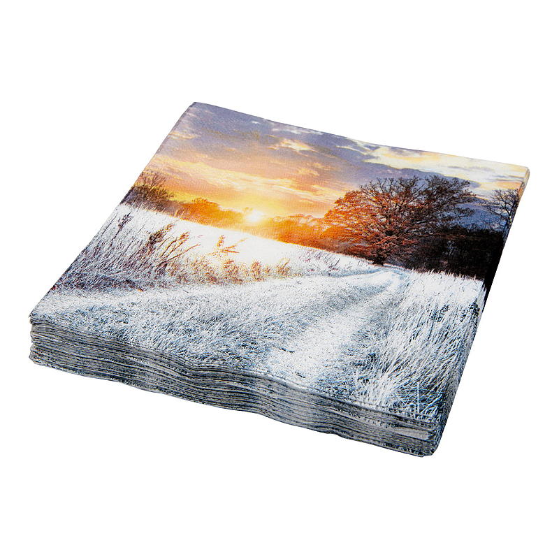 Vie Eco Servetter 20-pack 33x33 cm, Vinter
