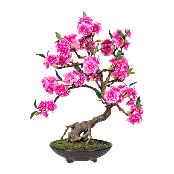 Kunstbonsai keramiek in cementpot, 50 cm