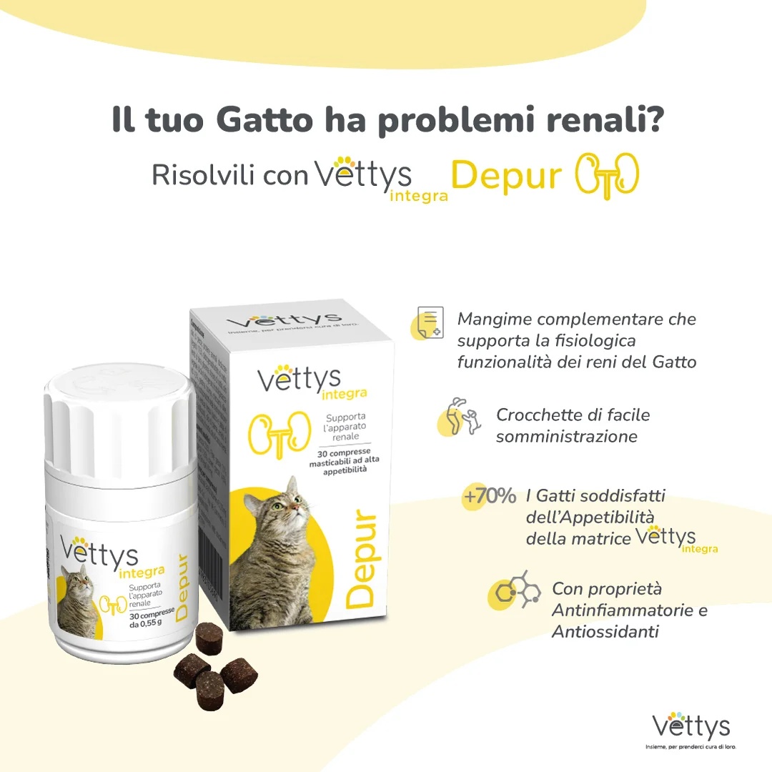 VETTYS Vettys Integra Depur Cat 30 comprimidos para problemas renais em gatos