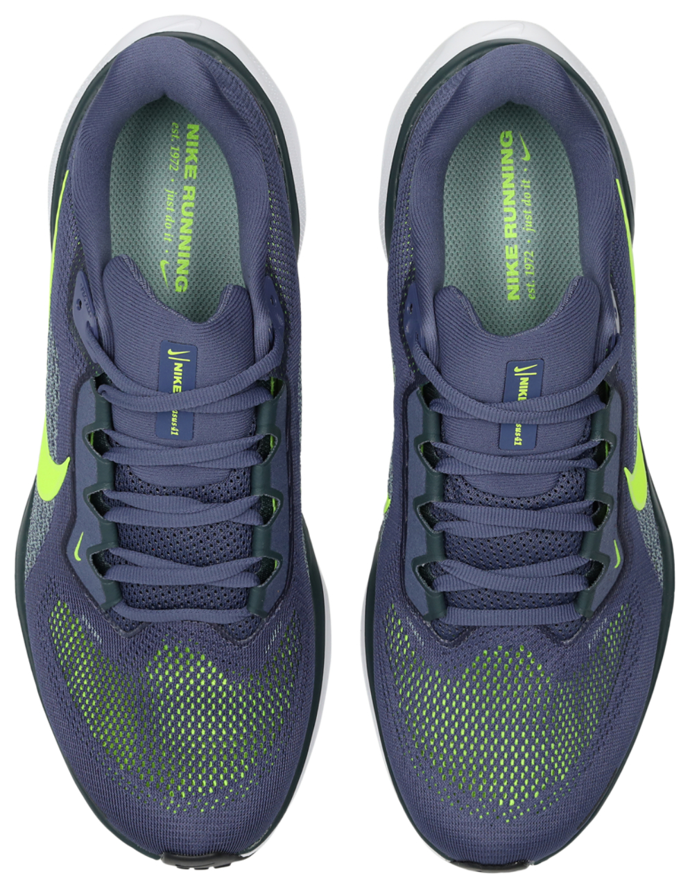 Nike Pegasus 41
