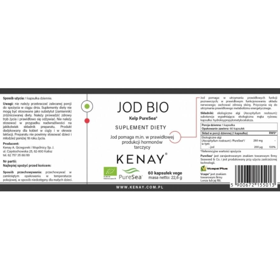 Kenay joda bio brūnaļģes tīra jūra
