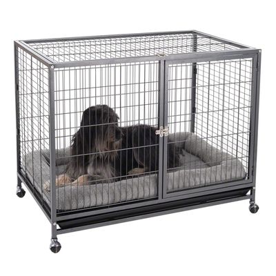Tabby binnenkooi voor honden