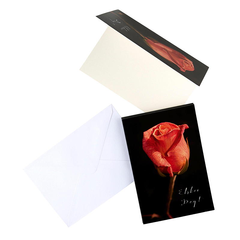 Tarjeta con una rosa roja