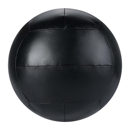 Wall Ball Fitness Tech De 4 A 10 kg