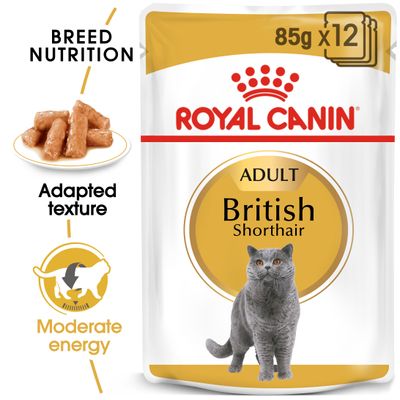 Royal Canin Britisch Kurzhaar Adult in Gravy