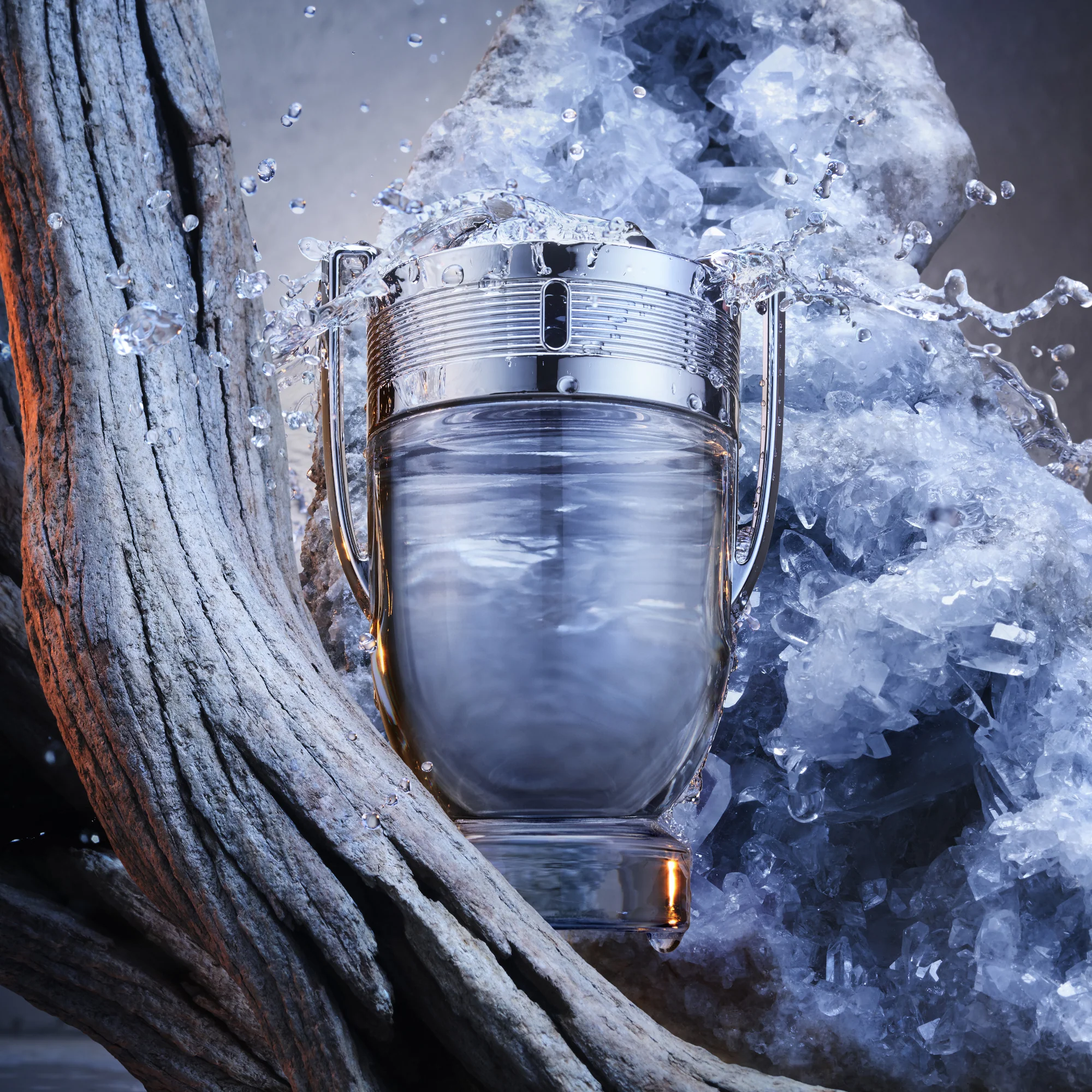 Invictus Invictus - Eau de Toilette