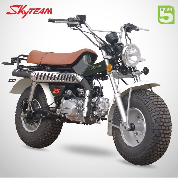 Mini Moto T-REX 125 SKYTEAM / Vert