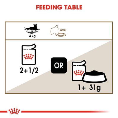 Royal Canin Aging 12+ v omáčce