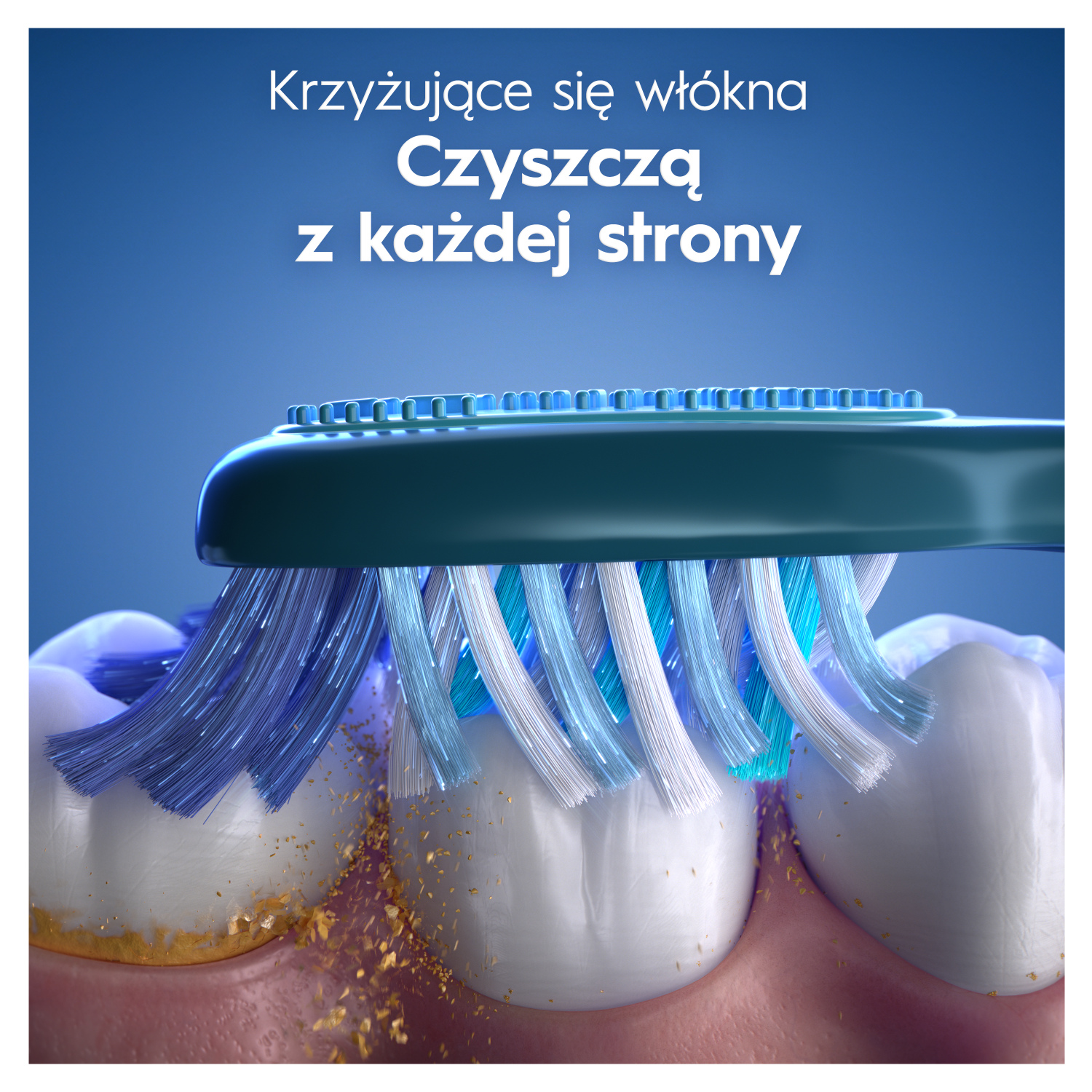 Oral-B Pro-Clean Advanced
