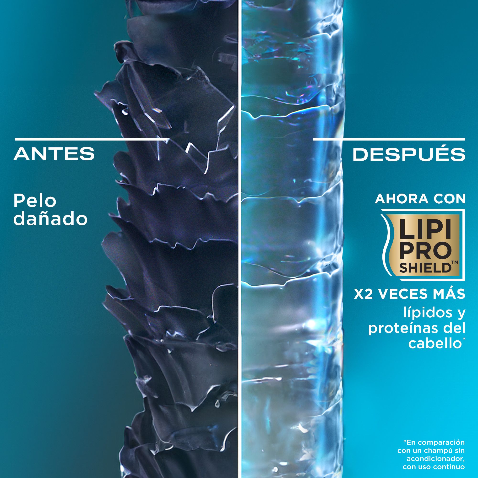 Регенеришући шампон са аргановим уљем за суву косу Шампони