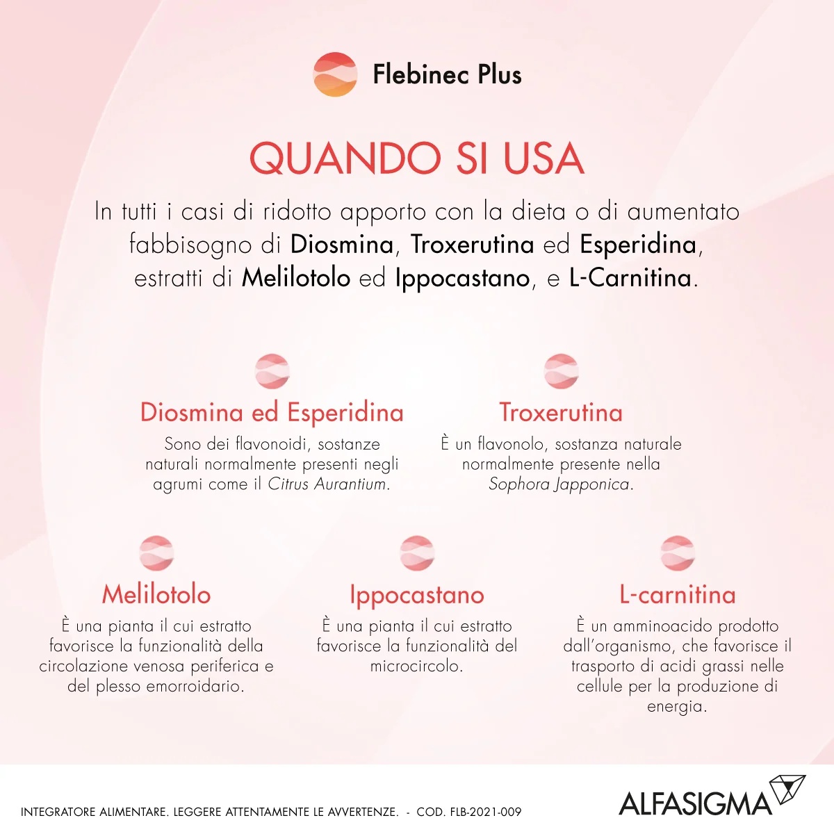 FLEBINEC Flebinec Plus 14 sachês de 4 g Suplemento alimentar para a microcirculação